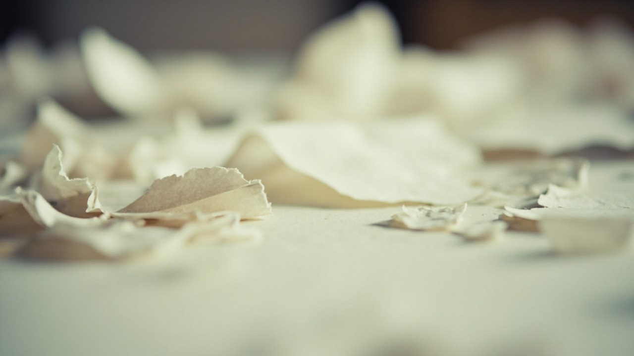 zone grise de loulou robert: résumé et critique percutants